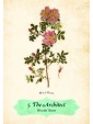 Oracle of The Roses : Blessings to support your heart and soul by Cheralyn Darcey